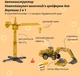 Машинка-конструктор OTAMANKO Будівельна спецтехніка 2 в 1 Екскаватор + Дорожній каток 73 деталі (5320207) - зображення 3
