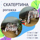 Скатерть рогожка 150х220 см (П4К-post-skatert-002-03) - изображение 2