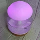 Настольный увлажнитель воздуха-ночник RAIN HUMIDIFIER Гриб + подсветка HUM-24 - изображение 4