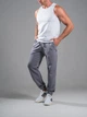 Джоггеры мужские спортивные штаны трикотажные Teamv Jogger Petlia Серые 3XL - изображение 3