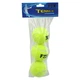 Мячи для большого тенниса Fox Tennis Ball 9799 3 мяча в комплекте - изображение 3