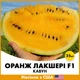 Арбуз Оранж Лакшери F1, 25 шт - изображение 1