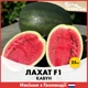 Арбуз Лахат F1, 25 шт - изображение 1