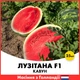 Кавун Лузітана F1, 25 шт - зображення 1