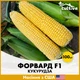 Кукуруза Форвард F1, 100 шт - изображение 1