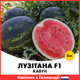 Арбуз Rijk Zwaan Лузитана F1, 5 шт - изображение 1