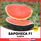 Кавун Баронеса F1, 25 шт - зображення 1