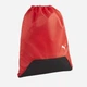Рюкзак спортивный тканевый 16л вмещает формат А4 Puma teamGoal Gym Sack 09024003 Красный (4099685697694) - изображение 1