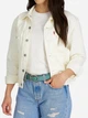 Ремень женский из натуральной кожи Levi's 90566764 S Разноцветный (1159816784) - изображение 3