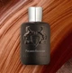 Духи для мужчин Parfums de Marly Pegasus Exclusif 75 мл - изображение 4