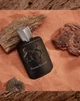 Духи для мужчин Parfums de Marly Pegasus Exclusif 75 мл - изображение 5