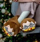 Тапочки Кигурми игрушки Kigurumi Гарри Поттер Домашние Плюшевые Мужские Коричневый 36-43 (М753075) - изображение 1
