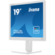 Монитор Iiyama ProLite B1980D-W5 White - изображение 5