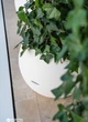 Умный вазон Lechuza Puro Color 50 Белый (13340) - изображение 5