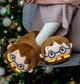 Тапочки-кигуруми Мягкие Женские Kigurumi Гарри Поттер Домашние Плюшевые Тканевые Коричневый 35-42 (W753075) - изображение 1