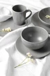 Набір Limited Edition Sandy Grey 42 предмети (SET_7016_1) - зображення 15