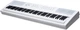 Цифровое пианино Kurzweil KA-E1 WH (530040) - изображение 1