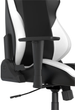 Крісло для геймерів DXRacer Drifting Black/White (GC/LDC23LTA/NW) - зображення 17