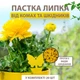 Пастка липка Метелик від комах та шкідників 20 шт - зображення 1