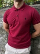 Поло Agent's Clothes Мини Самолетик Бордовое мужское S - изображение 4