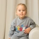 Світшот для хлопчиків двонитка з принтом Trendy Tot 03-01216 сірий 104 см (4 роки) - изображение 7