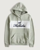 Женское худи - худи Hollister HC9768W S Светло-зеленый - изображение 2