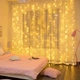 Светодиодная гирлянда-штора 3х3 м, 300 LED-диодов (00291) - изображение 3
