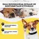 Машинка для стрижки животных триммер для груминга универсальный Geemy GM-634 White - изображение 5