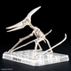 Model do składania Bandai Plannosaurus Pteranodon (4573102662828) - obraz 4