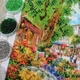 Набір для вишивання бісером Art-Millennium. NW-349 Квітковий ринок - зображення 2