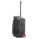 Портативна активна акустична система IBIZA PORT12 UHF MKII TWS RMS 350W - зображення 4