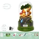 Румбокс Музыкальный Дом под куполом Сказочный Сад DIY Cute Room B-029 Music World - изображение 5