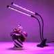 Фитолампа для растений двойная светодиодная LED с таймером 10Вт, настольная лампа для роста и цветения комнатных и тепличных растений на 2 ветки с клипсой-зажимом и USB питанием, красный, синий, фиолетовый свет Черная LP-417 - изображение 3