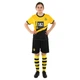 Форма футбольна дитяча із символікою футбольного клубу BORUSSIA DORTMUND домашня 2024 SP-Planeta CO-6264 (поліестер, розмір 22, жовтий-чорний) - зображення 4