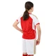 Форма футбольная детская с символикой футбольного клуба ARSENAL домашняя 2024 SP-Planeta CO-6276 (полиэстер, размер 20, красный-белый) - изображение 5