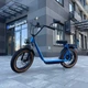 Фетбайк Двухместный VOLTO Cruise 20" (1000W, 20Ah) +NFC Голубой - изображение 7