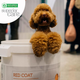 Сухий корм для собак Nature's Protection Superior Care Red Coat Grain Free Junior Small Breeds з лососем 1.5 кг (4771317472281) - зображення 2