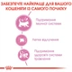 Сухой корм Royal Canin MOTHER & BABYCAT для кошек в период лактации и новорожденных котят 4 кг (3182550707329) - изображение 4