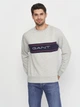 Світшот GANT Archive Stripe C-Neck 2006000 Light Grey Melange M - зображення 5