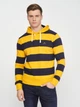 Худі GANT Barstripe Heavy Rugger 2005044 Ivy Gold L - изображение 2