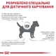 Сухий корм для собак Royal Canin Anallergenic Small Dog 3 кг - зображення 4