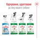 Сухий корм для літніх собак малих пород Royal Canin Mini Ageing 12+, 800 г - свійський птах - зображення 5