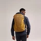 Рюкзак Arc'teryx Mantis 30 Backpack, цвет Relic/Yukon, Unisex, 30L - изображение 3