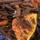 Сенча-Ходжича із інжиром - 50 г - зображення 2