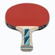 Ракетка для настільного тенісу Donic-Schildkrot Legends 700 FSC 734417 (Оригінал) - зображення 4