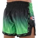 Шорты для тайского бокса и кикбоксинга Fairtex 9474 размер XL (48-50) Green-Black - изображение 4