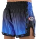 Шорты для тайского бокса и кикбоксинга Fairtex 9474 размер S (42-44) Blue-Black - изображение 2