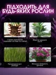 Фитолампа Lavka светодиодный светильник для растений рассады комнатных цветов 2 головы фитолампа на прищепке весь спектр автовыключение 711244201 - изображение 8