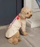 Вышиванка для собак Dogs Bomba з китицями для собак Dogs Bomba беж RUB-48 4 р. - изображение 1