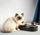 Годівниця - регульована миска для тварин PETKIT Fresh Nano Metal 15° Adjustable Cat Feeding Bowl (P5201) - зображення 7